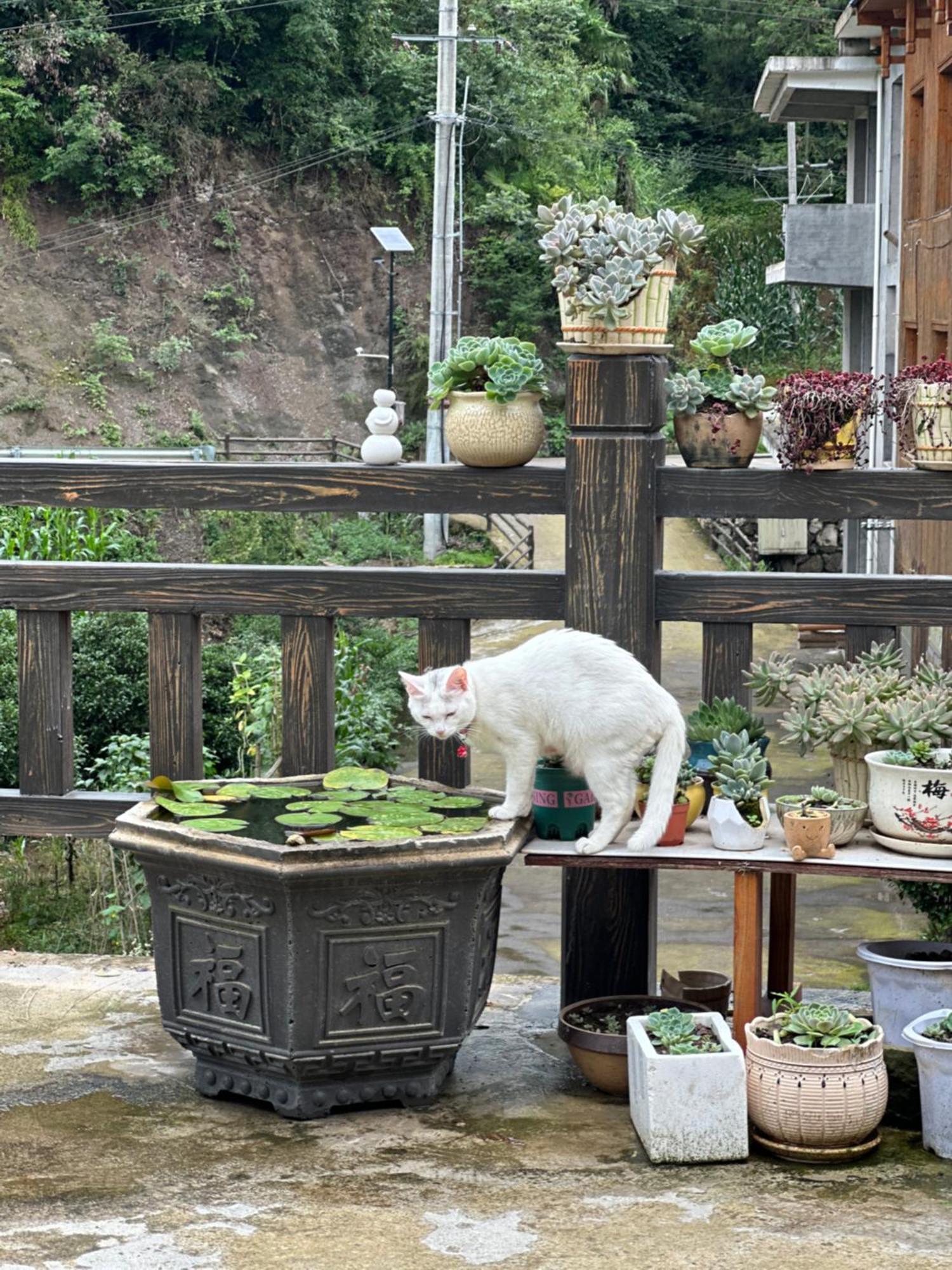 Tongfu Inn Zhangjiajie Εξωτερικό φωτογραφία